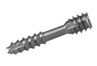 Double threaded screw penetrated self cutting