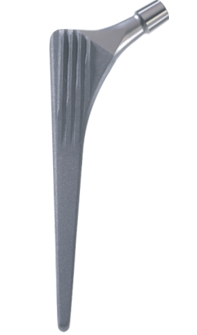 Fin_straight_stem_SPO125°_L