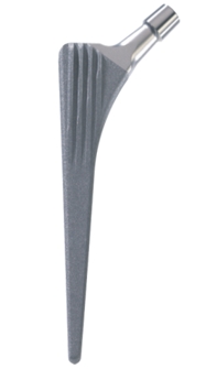 fin_straight_stem_SPO_135°_L