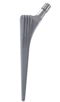 fin_straight_stem_SPO_145°_L