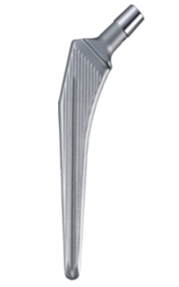 MüllerII_straight_stem_L